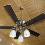 Platinum Brown Ceiling Fan